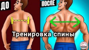 Тренировка спины