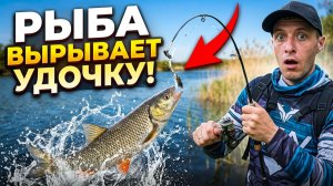 Рыба вырывает удочку из рук! Рыбалка на спиннинг 2026!