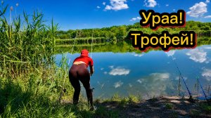 НА БЕРЕГУ НЕТ МЕСТ! НО МЫ НЕ СДАЁМСЯ! НА РЫБАЛКУ С НОЧЁВКОЙ. ТРОФЕЙ ПОРАДОВАЛ!