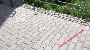**ДЫШУ ТОБОЙ**ОТЛИЧНЫЙ ВЫХОДНОЙ. ПУСТЬ ВСЁ РАДУЕТ. 🌸🌺🌻🌹🌷🌼💐ЦВЕТЫ. И ПОГОДА.