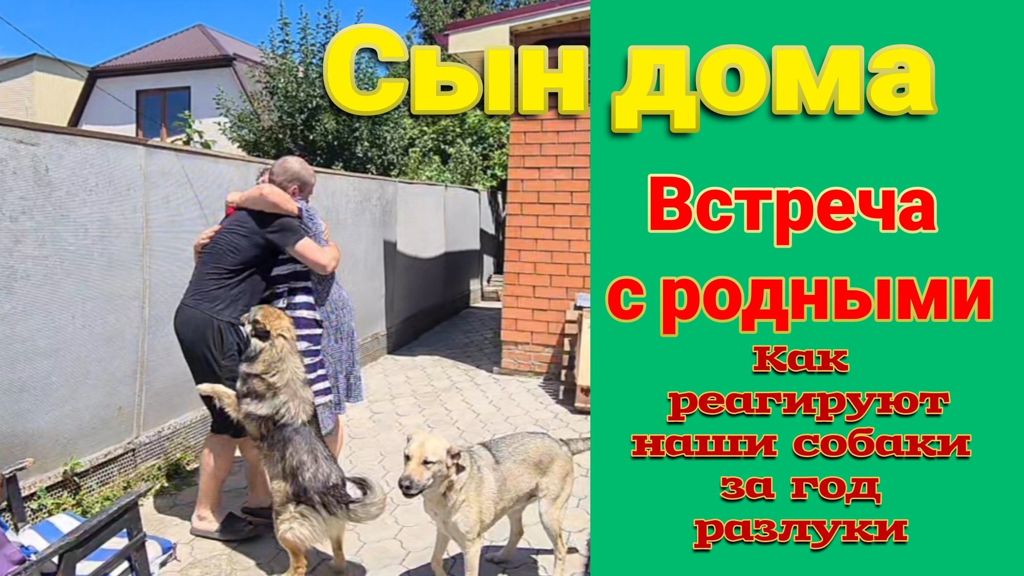 Сын вернулся из армии. Собаки сошли с ума от радости. Море. Ремонт. Ейск♥️ смотреть онлайн