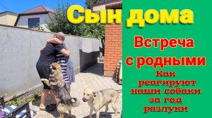 Сын вернулся из армии. Собаки сошли с ума от радости. Море. Ремонт.