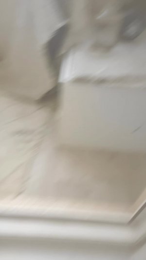 новый питомец и питомец аксрлотль