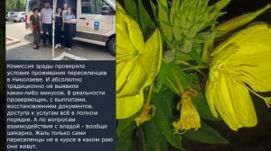 Николаев 29 июня 2026 года (новости)