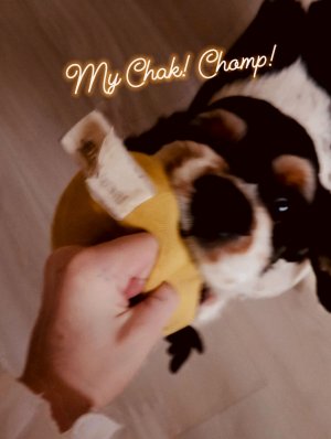 АSMR|С косметикой