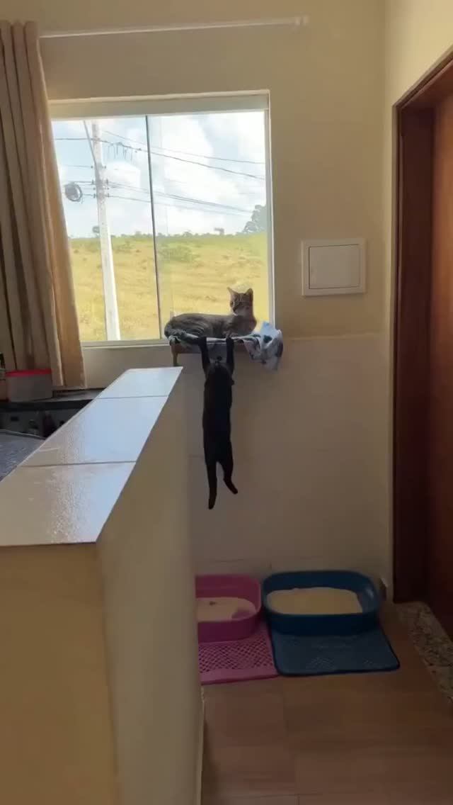 Зарядка