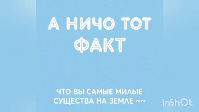 ПЕСНЯ О ДРУЖБЕ смотреть онлайн