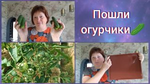 Силиконовые формы Убираю чесночные стрелки