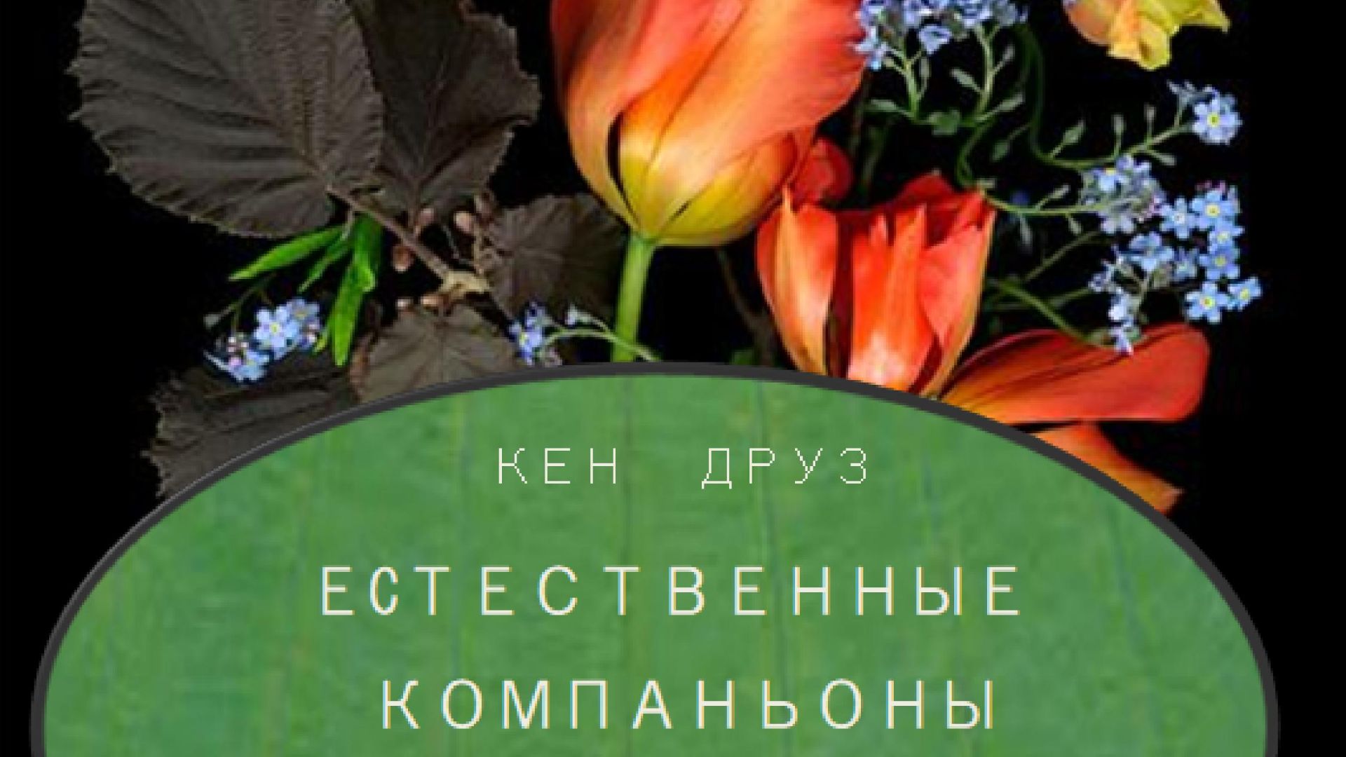 КРАСИВЫЕ И ПРОДУМАННЫЕ САДОВЫЕ АНСАМБЛИ: ЕСТЕСТВЕННЫЕ КОМПАНЬОНЫ КЕН ДРУЗ