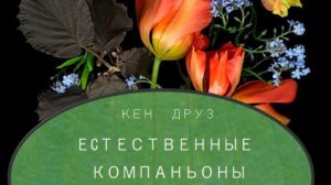 КРАСИВЫЕ И ПРОДУМАННЫЕ САДОВЫЕ АНСАМБЛИ: ЕСТЕСТВЕННЫЕ КОМПАНЬОНЫ КЕН ДРУЗ