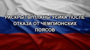 Раскрыты планы Усика после отказа от чемпионских поясов