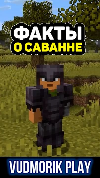 Что скрывают саванны в Minecraft #14