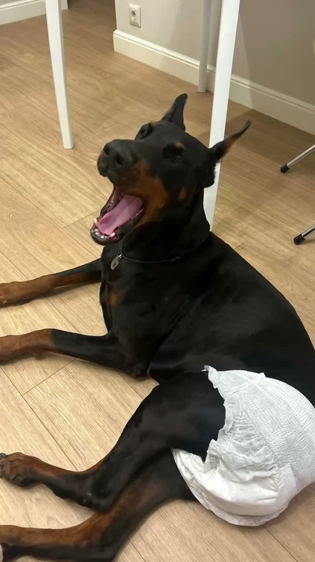 РОКСИ В БОЮ🥰
