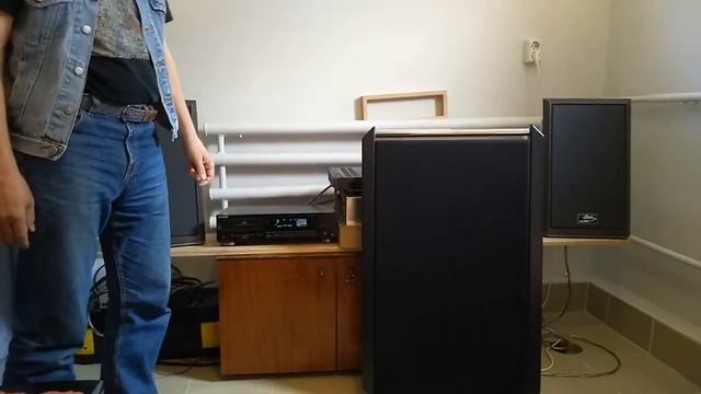 Sheetcontrol Amanda DML speakers смотреть онлайн