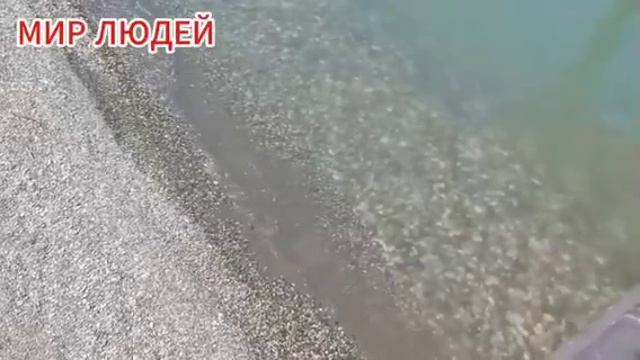 Ядовитый цвет счастья смотреть онлайн