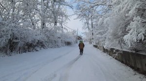 ВЛОГ: ЗАВАЛИЛО СНЕГОМ. РАБОЧИЙ БУДНИ!!\Илья Лис/