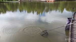 Утро на водоёме