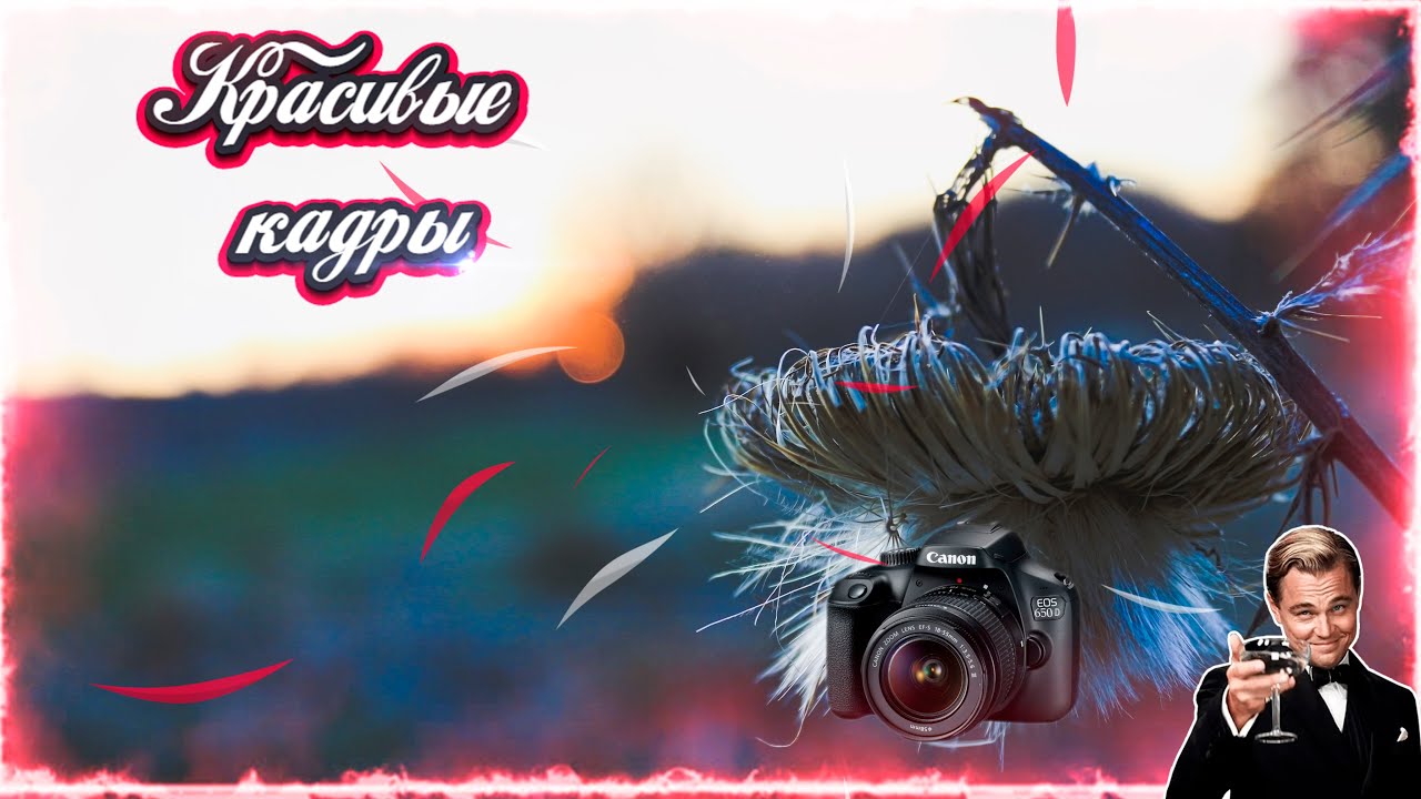 Возможности камеры Canon 650 D \\ Красивые кадры смотреть онлайн