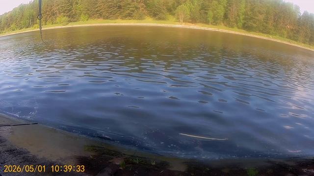 2026.05.15 (3) смотреть онлайн