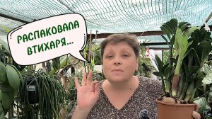 ПЕРЕСАДКА ВМЕСТО РАСПАКОВКИ. 3 ПРИЧИНЫ ПОЛНОЙ ЗАМЕНЫ ГРУНТА. 28-06-2026