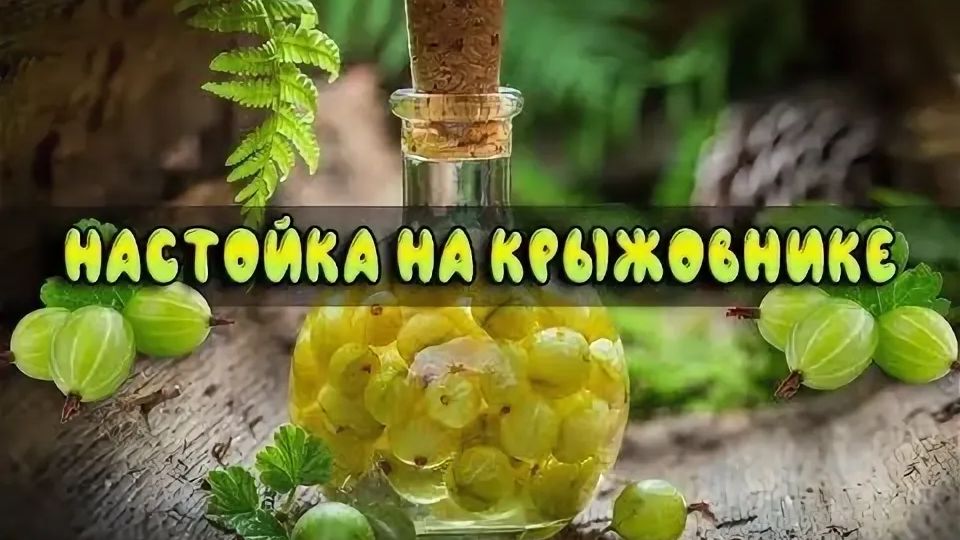 РЕЦЕПТ НАСТОЙКИ ИЗ КРЫЖОВНИКА со ВКУСОМ АРБУЗА #настойка #крыжовник #простойрецепт смотреть онлайн