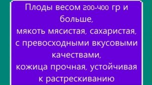 Каталог томатов на 2026 год. Часть 3. г. Киров  т. 89229284031