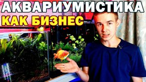 Свой бизнес на аквариуме! Как продать рыбок и растения через интернет!