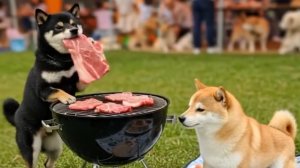 Собаки в другой вселенной 😂🐶