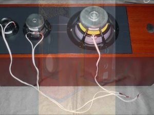 SAGA Speakers 225. Живая стереозапись этих АС с 1 метра.