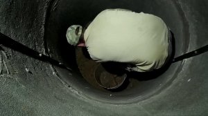 я здесь больше не хочу копать колодцы но если надо выкопаю