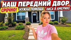 Лиса в Америке. Срочно! Ужас на ПЕРЕДНЕМ дворе! Нужна ваша помощь⧸Благоустройство дома после переезд