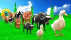 Мультики для детей .Детские мультики.Яркие мультики