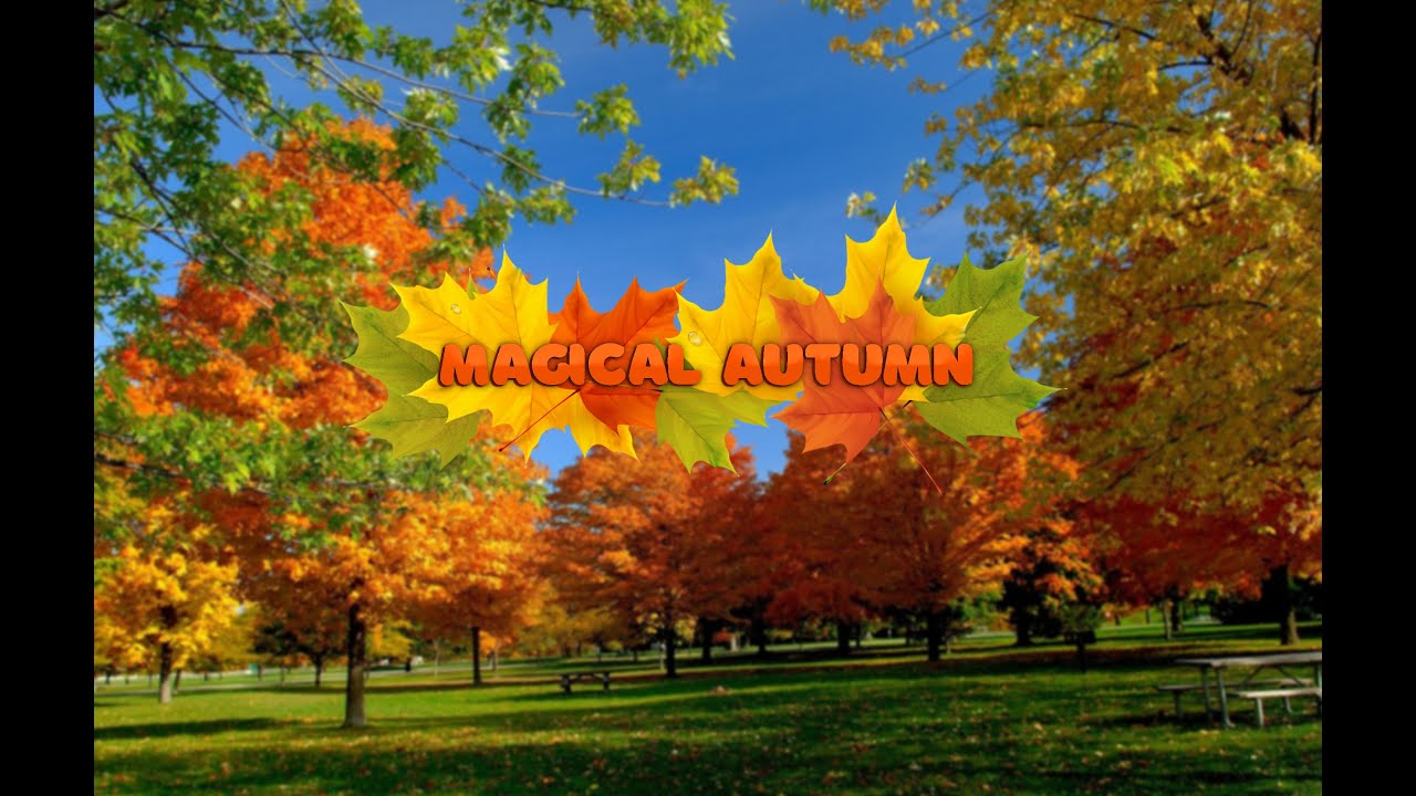 magical autumn 2024/ волшебная осень 2024#sony #sonyzve10 смотреть онлайн