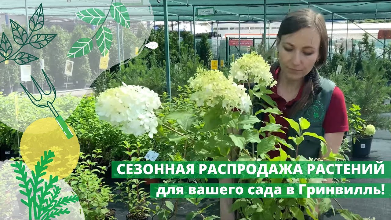 Сезонная распродажа растений для вашего сада в Гринвилль! смотреть онлайн