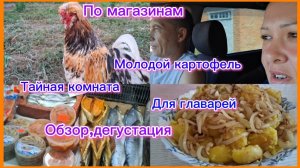 28-06-2026/Живём на юге/Картофель молодой/В центр/Обзор, дегустация/Перемены в курятнике/Релакс