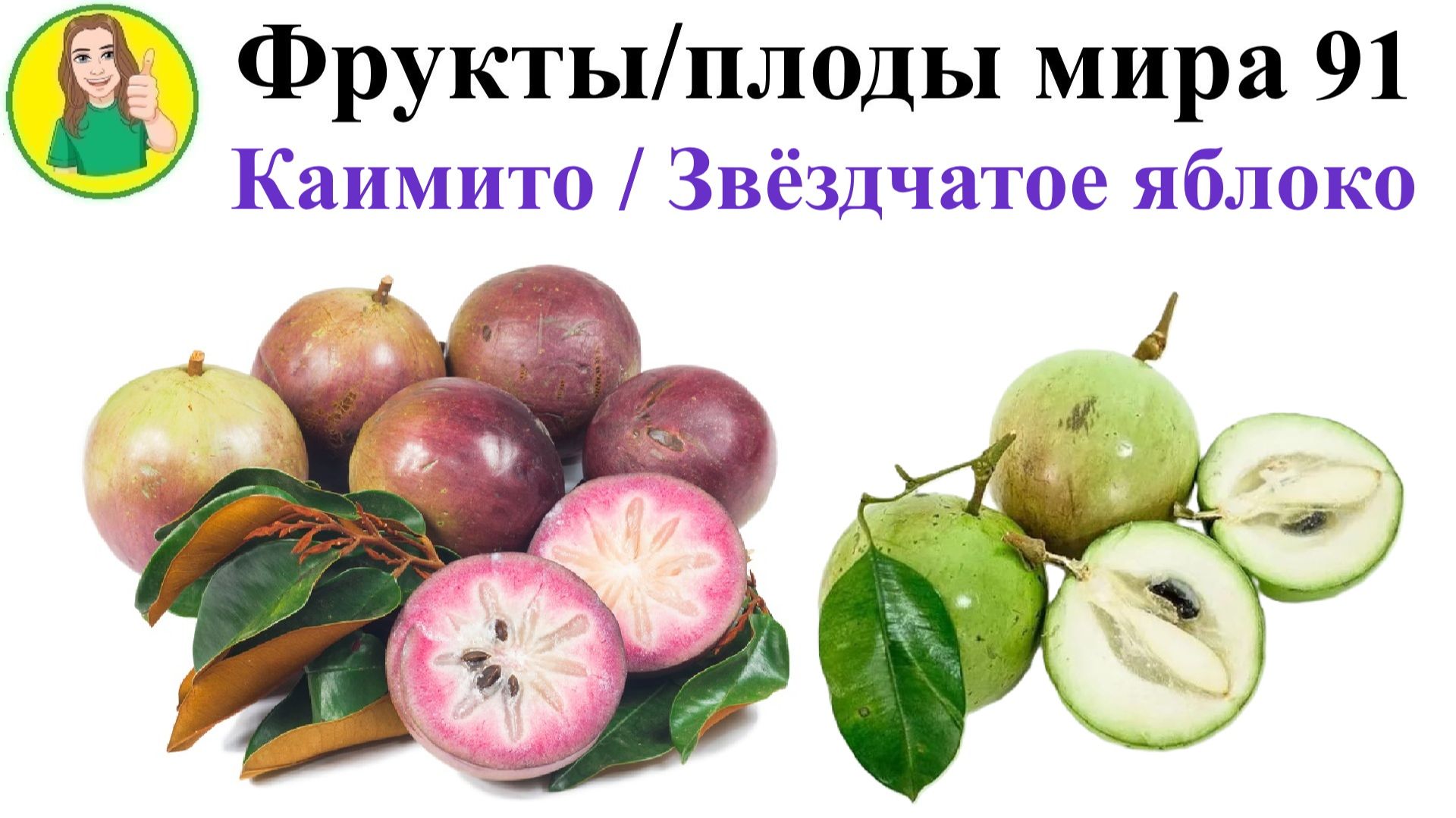 Фрукты – плоды мира 91 – Звёздчатое яблоко или Каимито Сыроедение Фрукторианство