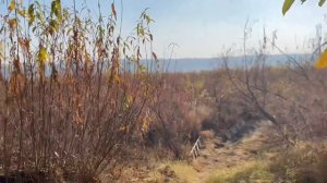 Первые заморозки Отшельники (30 лет одиночества 98 серия)