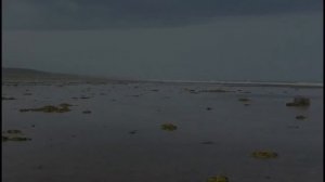 Терский берег