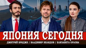 Япония сегодня: Россия, Курилы и новая Азия | Нелидов | Бридже | Орлова