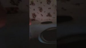 🔊BASS тест динамиков 2 по 5w МИНУС ДИНАМИК🔊