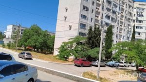 Цветы в июне. Иду мужа встречать. Начали помидоры подвязывать.