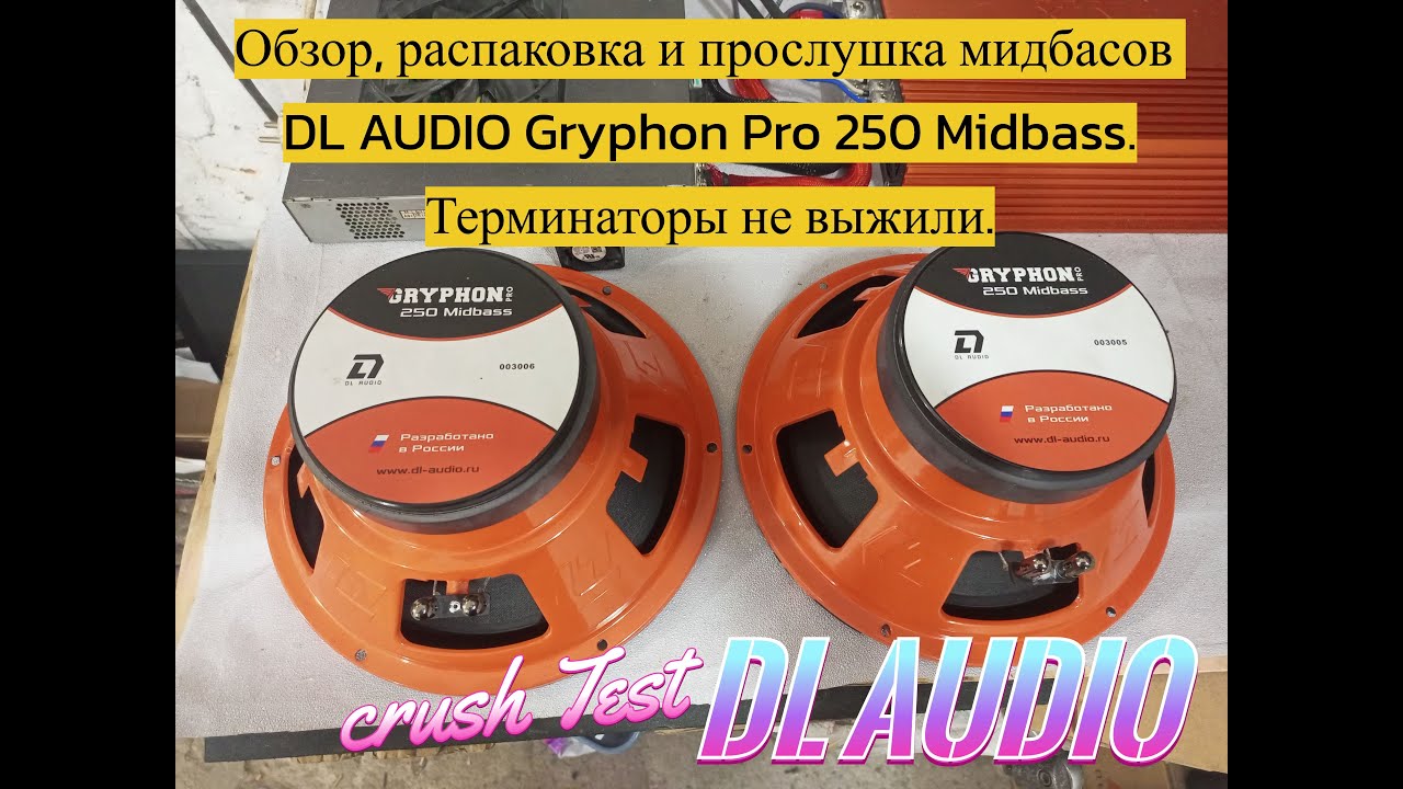 Обзор, распаковка и прослушка мидбасов DL AUDIO Gryphon Pro 250 Midbass. Терминаторы не выжили.
