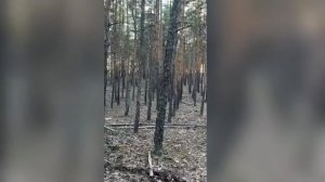 золотой час