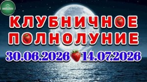 ВЕСЫ: «СОБЫТИЯ от ПОЛНОЛУНИЯ с 30.06.2026 по 14.07.2026»!!!
