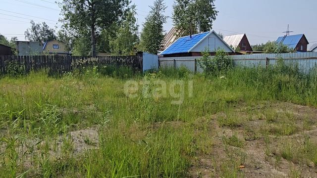 12389156 Хвойный смотреть онлайн