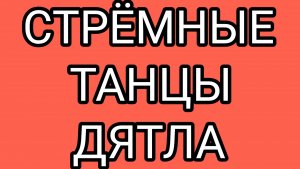 Танцует она, а стыдно нам!