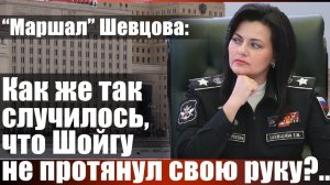 «Маршал» Шевцова: Как же так случилось, что Шойгу не протянул свою руку?..