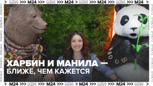 Как принимают российских гостей в Харбине и Маниле? | Москва Международная — Москва 24 | Контент