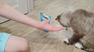 эх😺 какой же я богатый