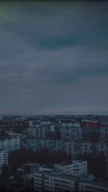 🏢☁️🌲